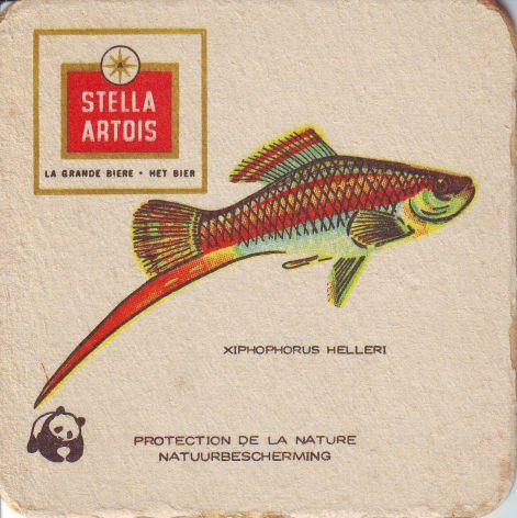 stella_artois031.jpg