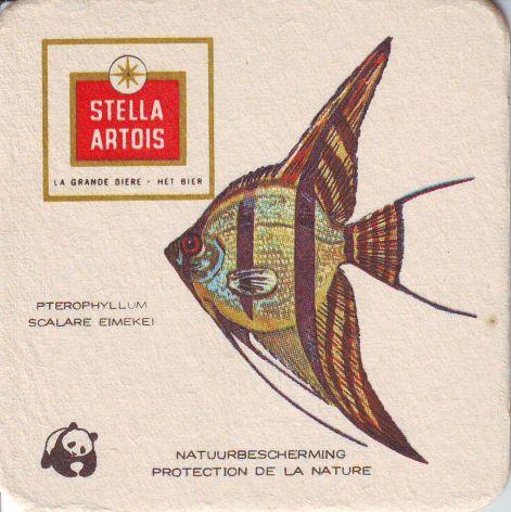 stella_artois033.jpg