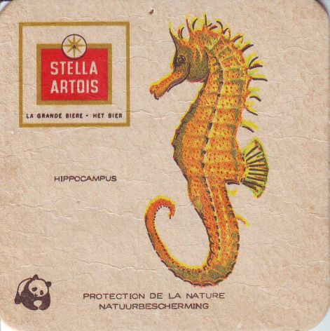 stella_artois034.jpg