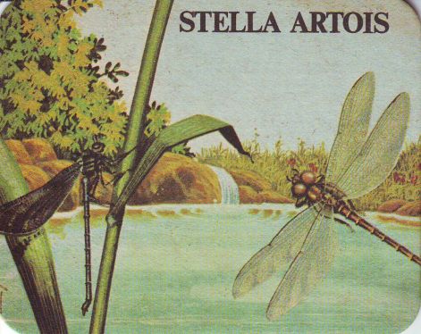 stella_artois125.jpg